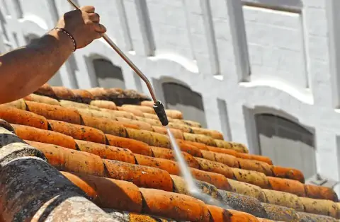 Nettoyage de toitures - Bayard-sur-Marne